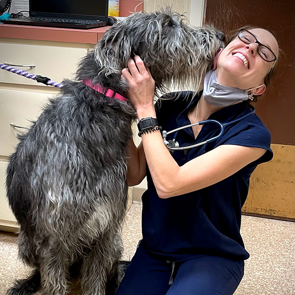happy canine patient licking Dr. Morgan